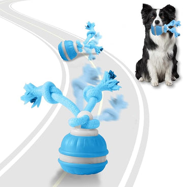 Interactive Automatic Rolling Dog Ball Toy for Small, Medium & Large Dogs