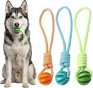 Dog Ball on Rope – Durable Rubber Ball & Cotton Rope for Tug of War & Fetch