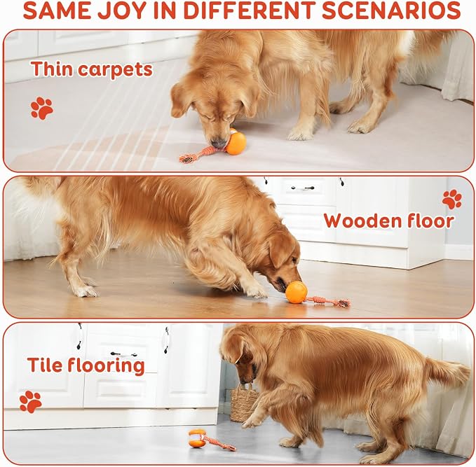 Interactive Electric Moving Dog Ball with Rope – Random Path Toy for Active Play