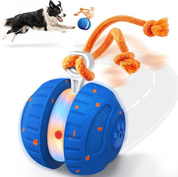 Interactive Rolling Dog Ball with Rope – Random Path Dog Toy for Active Play