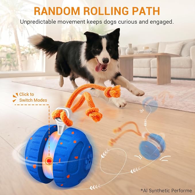 Interactive Rolling Dog Ball with Rope – Random Path Dog Toy for Active Play
