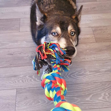 Triple Knot Rope Dog Toy – Durable Interactive Tug & Chew Toy