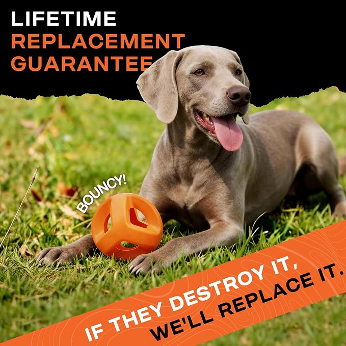 Rubber Dog Ball Toy for Large Dogs & Aggressive Chewers – Orange