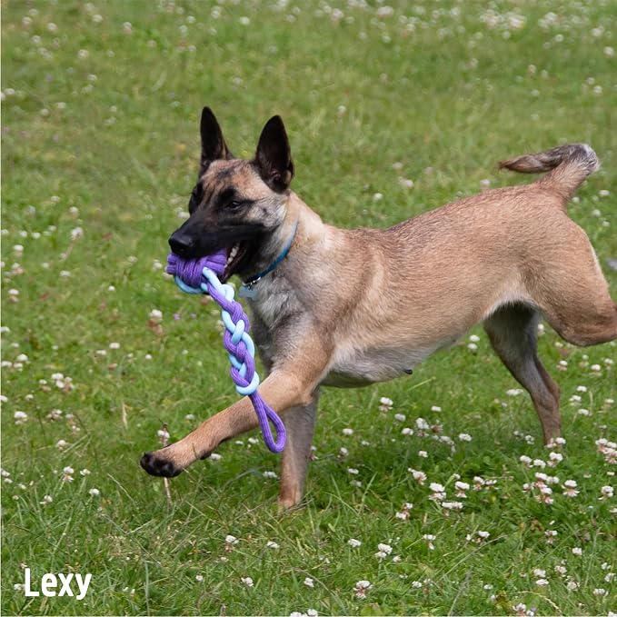 Battersea Rope and Rubber Tug for Dogs – Blue & Purple, Large 38cm